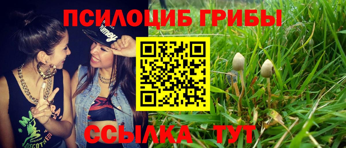Псилоцибиновые грибы мицелий  Вход с VPN  Галлюциногенные грибы мухоморы  Красный Сулин 